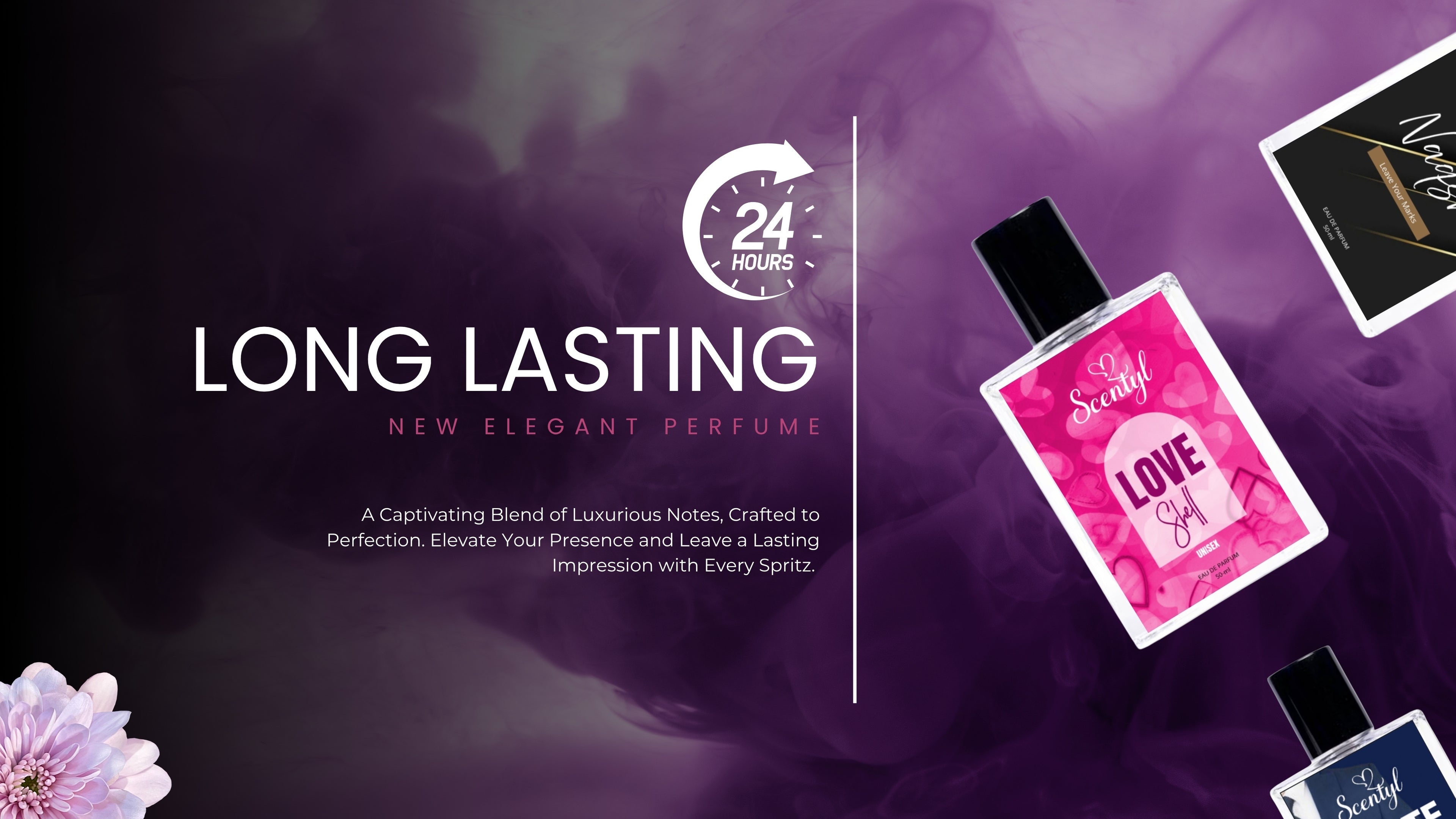 collection-banner-image